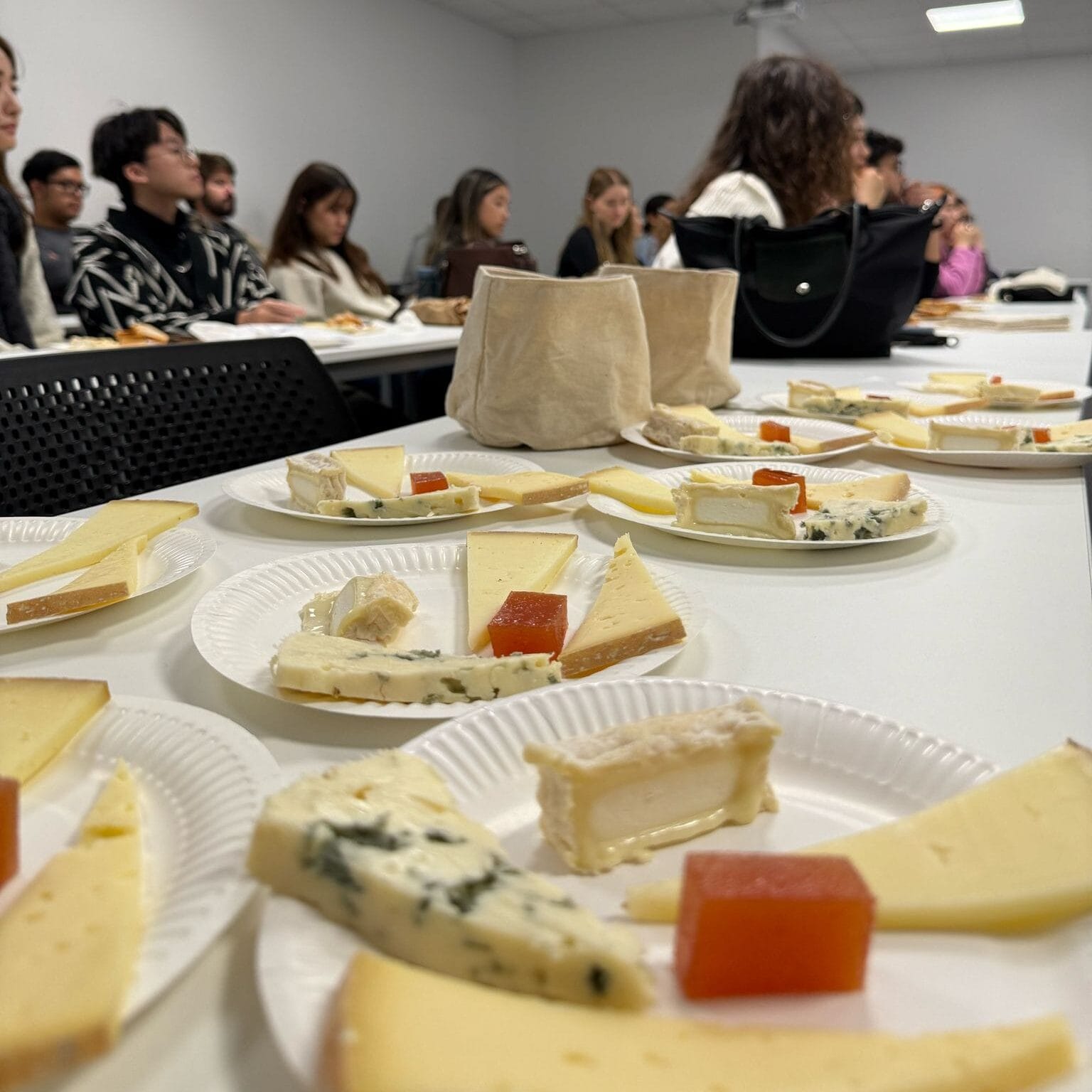 private tours taste of Toulouse