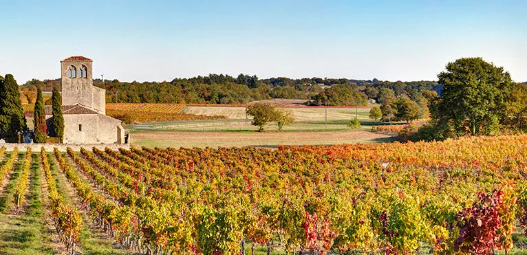 A scenic vineyard with rows of grapevines in autumn colors stretches across the landscape near Toulouse, with a small stone building and a tower on the left, surrounded by trees under a clear blue sky—perfect for local wine bars.